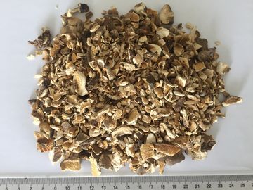 گرانول قارچ Shiitake خشک 10x10mm با طعم طبیعی