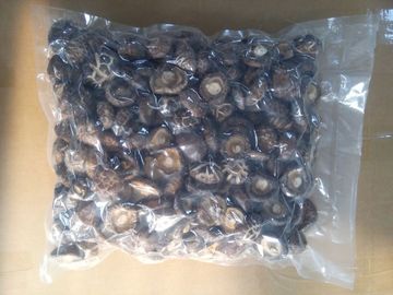 قارچ Shiitake خشک خشک شده 11٪ رطوبت بدون بوهای خارجی